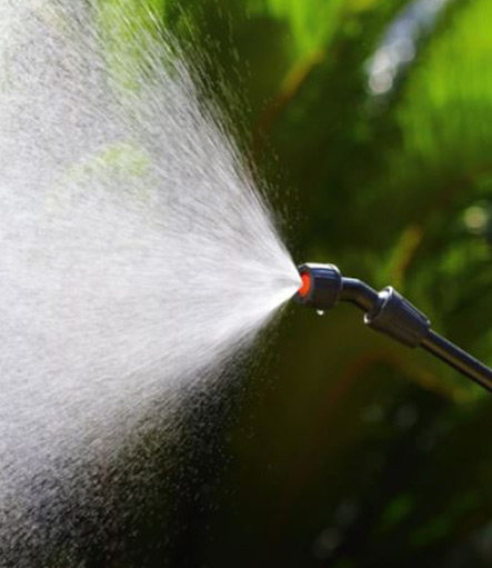 Pulverizador manual portátil para diversas aplicaciones químicas